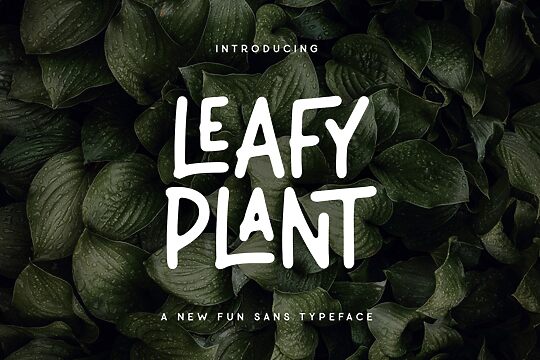 Leafy Plant Sans