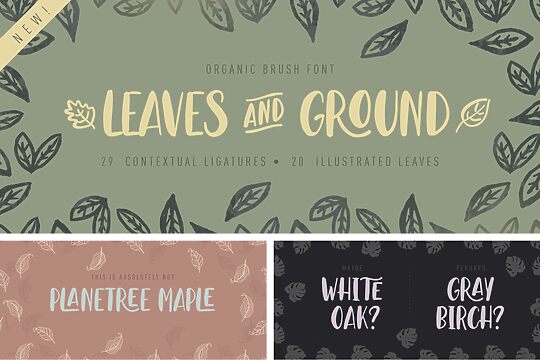 Leaves And Ground