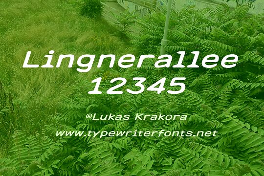 Lingnerallee 12345