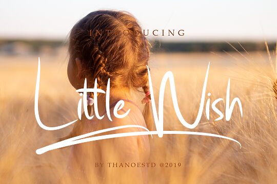 Little Wish