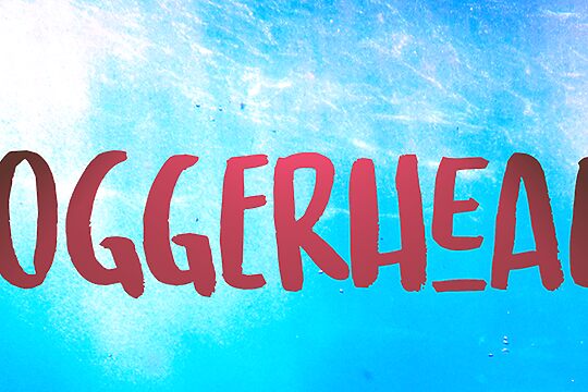 Loggerhead