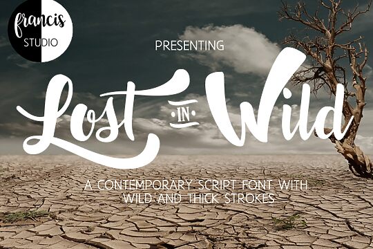 Lost in Wild