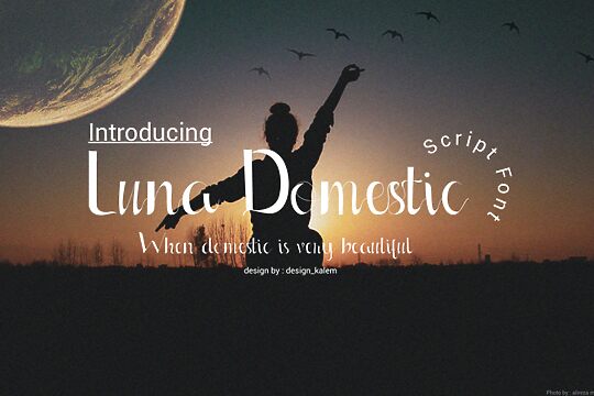 Luna Domestic