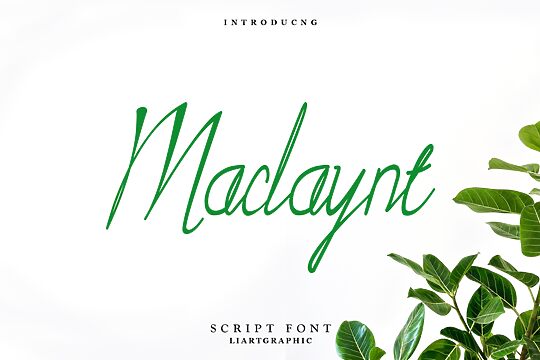 Maclaynt