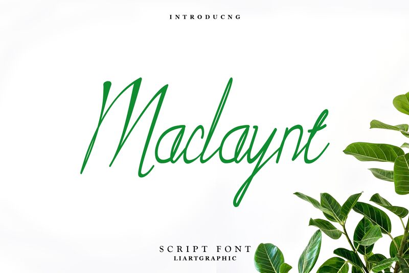 Maclaynt