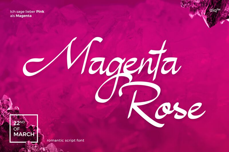 Magenta Rose