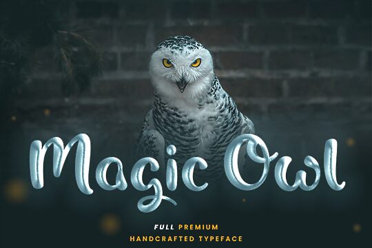 Magic Owl