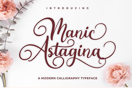 Manic Astagina