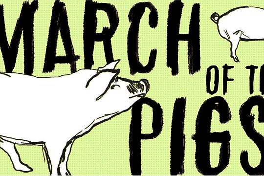 March of the pigs