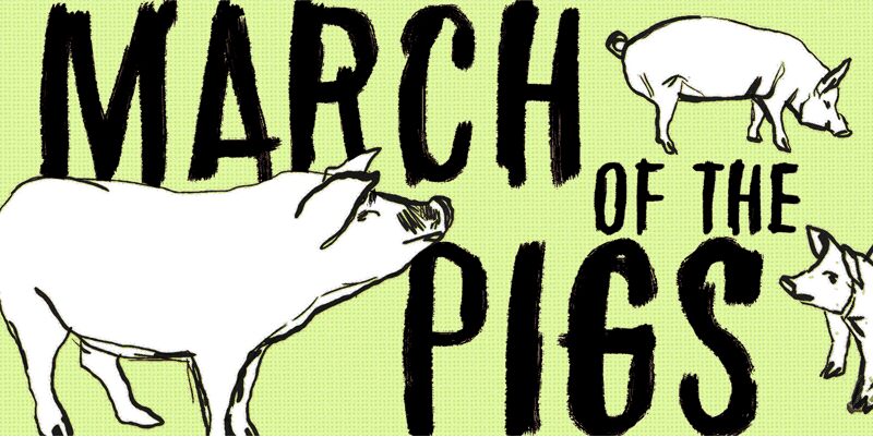 March of the pigs