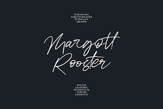 Margott Rooster