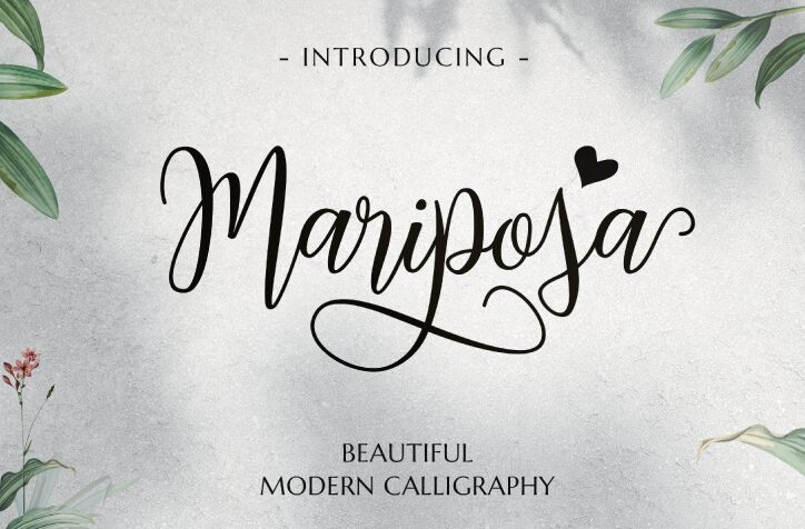 Mariposa Script