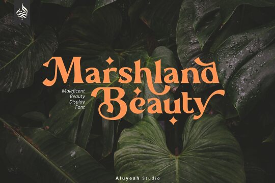 Marshland Beauty