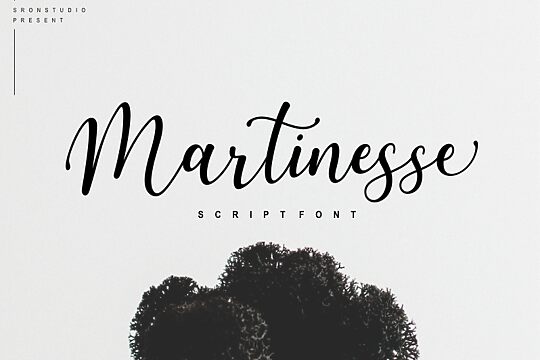 Martinesse