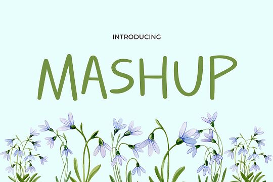 Mashup