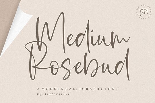 Medium Rosebud