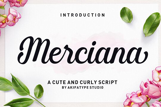 Merciana Script