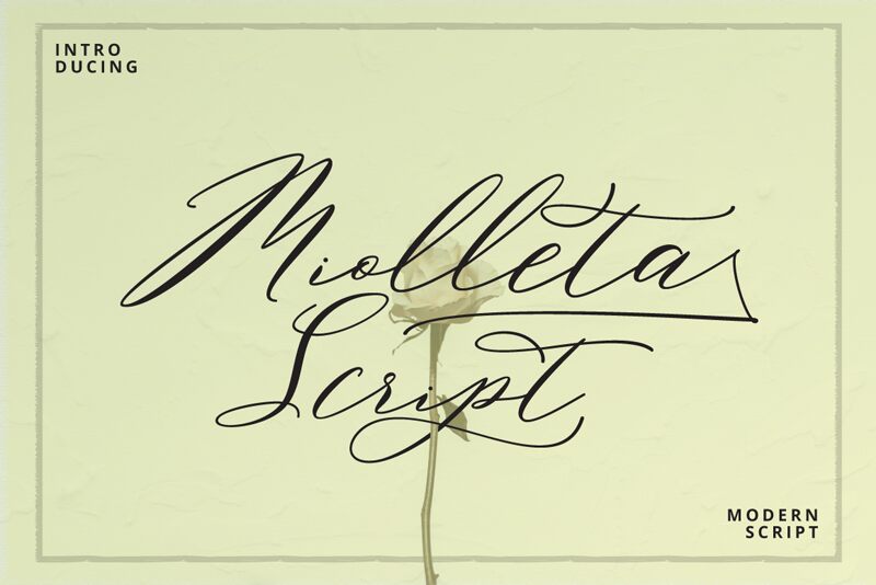 Miolleta Script