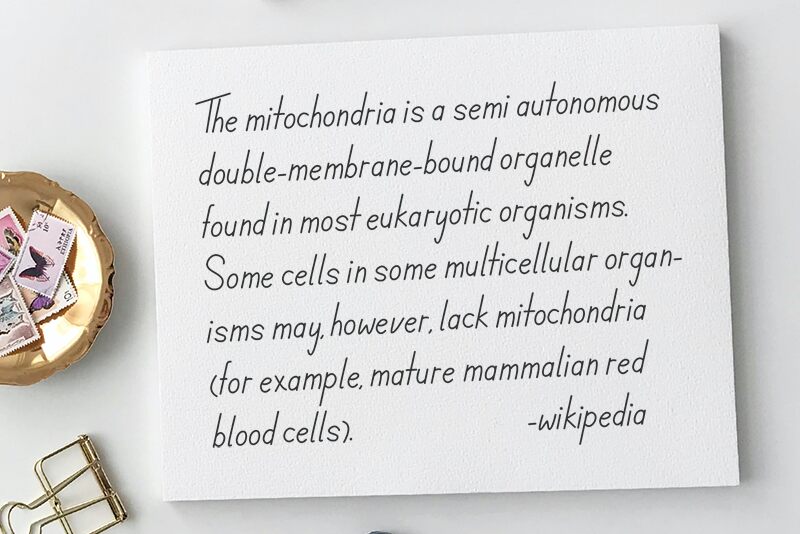 Mitochondria