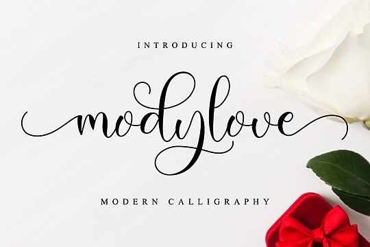 Modylove