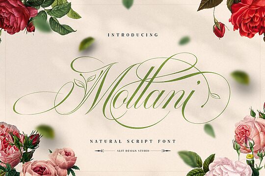 Mollani