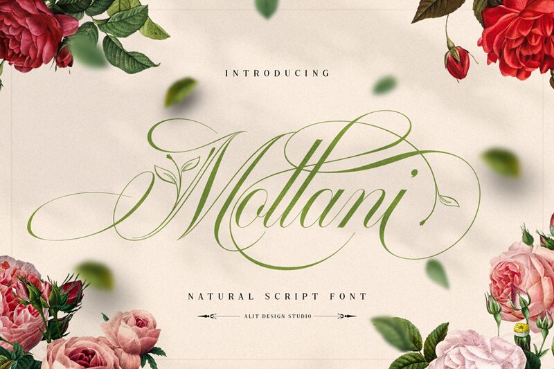 Mollani