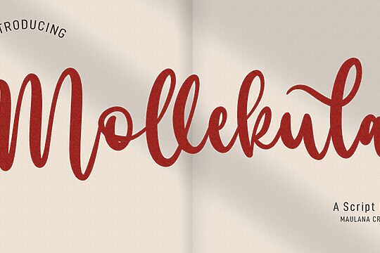 Mollekula