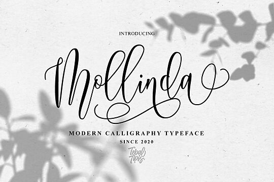Mollinda Script