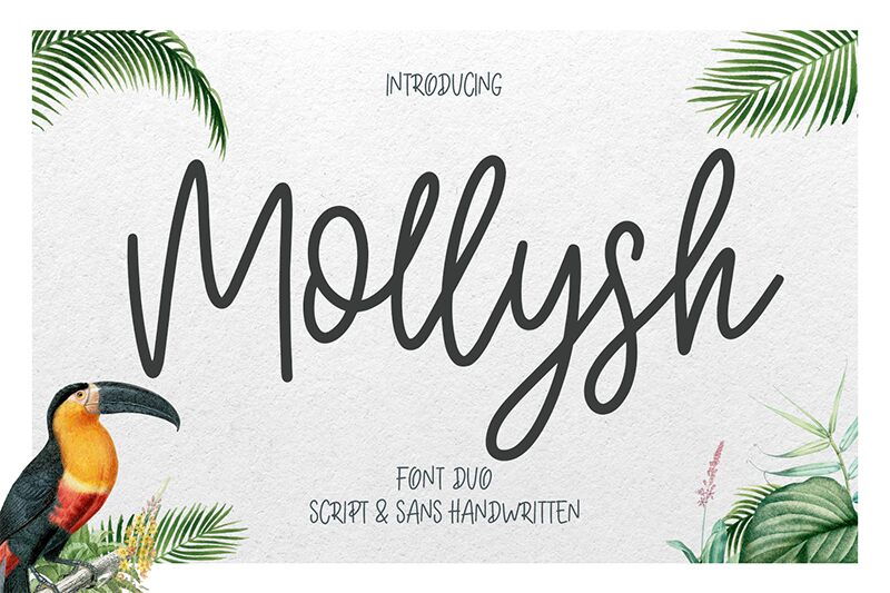 Mollysh Script