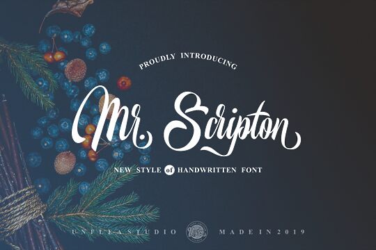 Mr Scripton