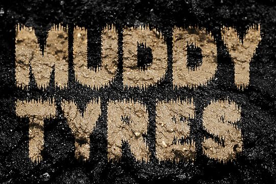 Muddy Tyres