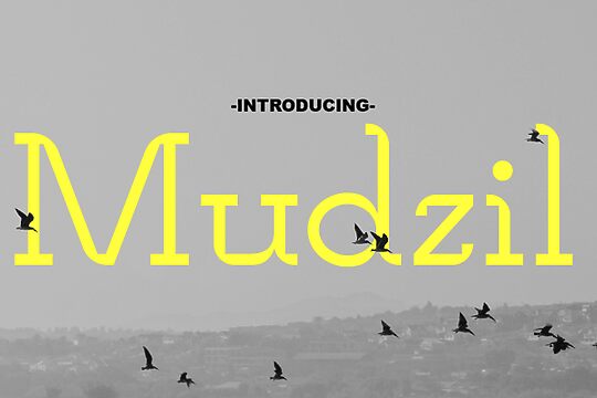 Mudzil