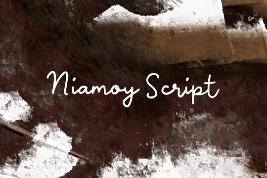 n Niamoy Script