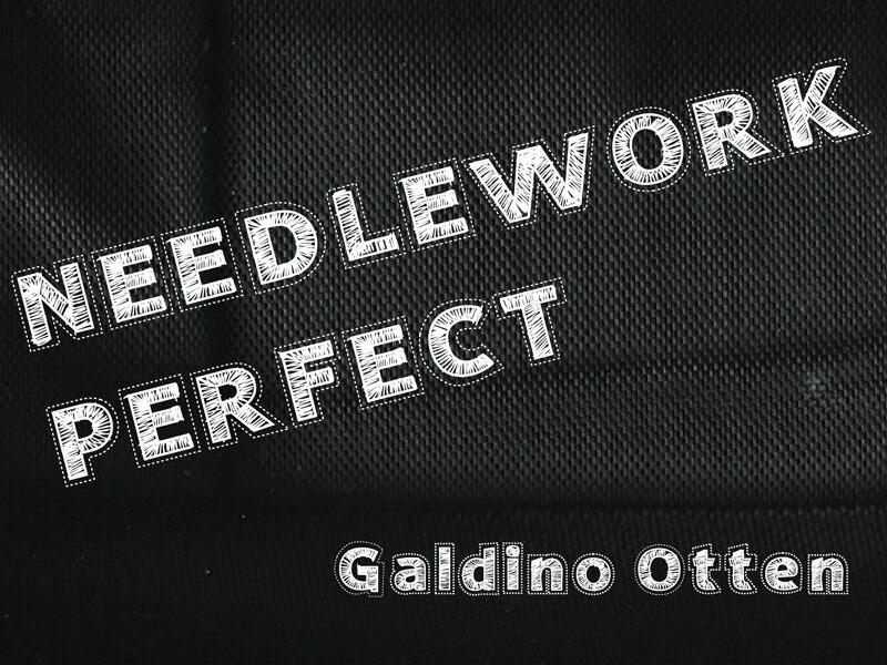 Needlework Perfect