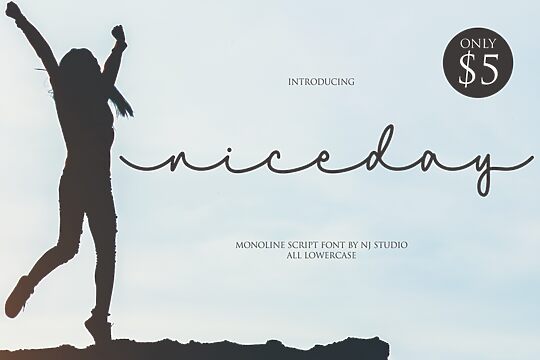Niceday