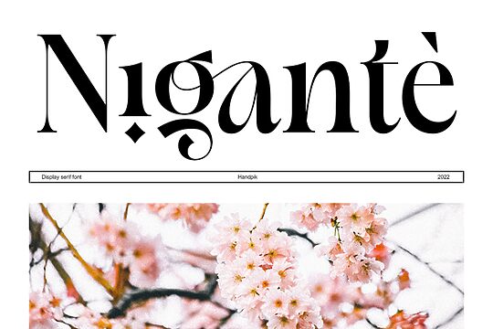 Nigante