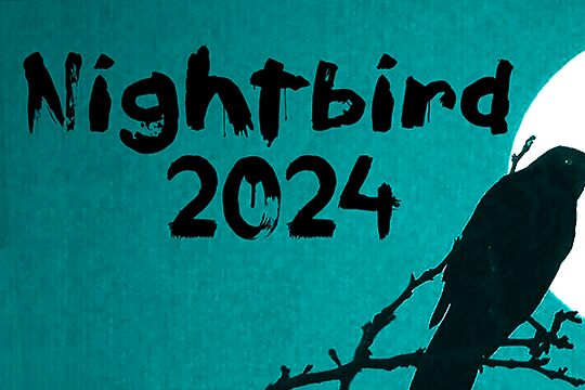 Nightbird 2024