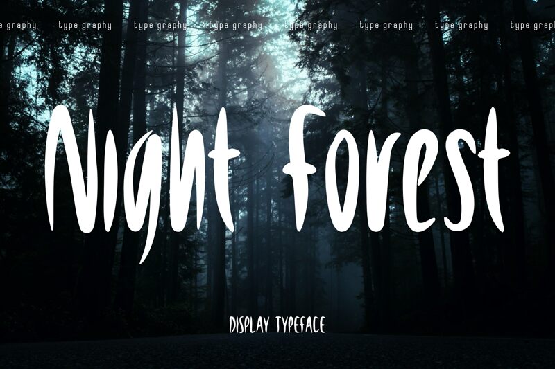 Night Forest