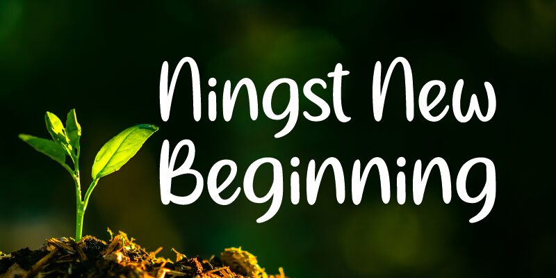 Ningst New Beginning