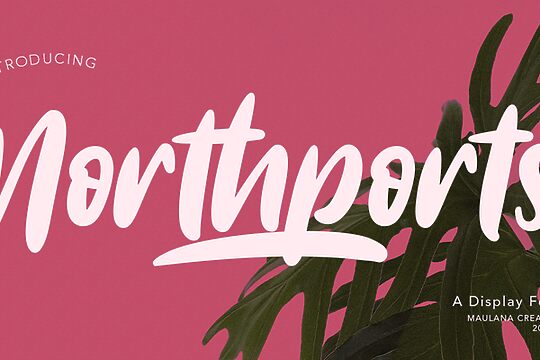 Northports