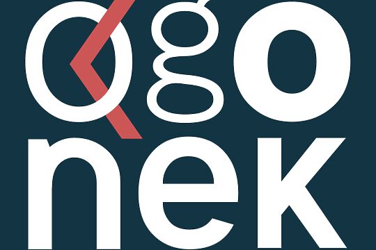 Ogonek