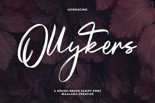 Ollykers