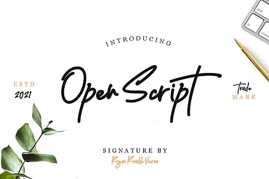 Open Script