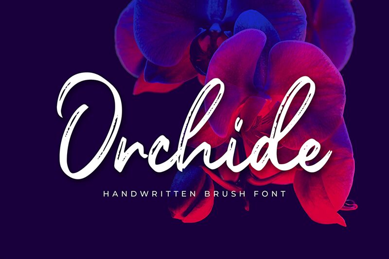 Orchide