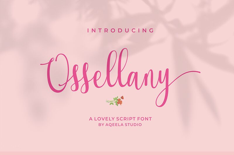 Ossellany Script