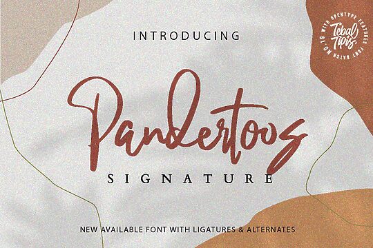 Pandertoos Signature
