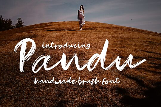 Pandu