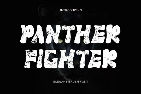 Panther Fighter