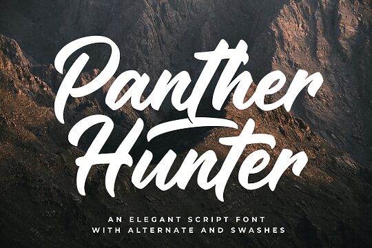 Panther Hunter