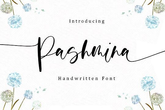 Pashmina